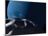 Neptune Seen from the Surface of its Tiny Moon, Naiad-Stocktrek Images-Mounted Photographic Print