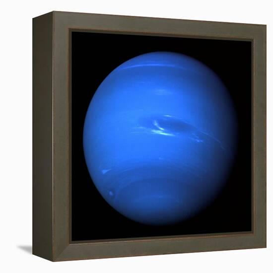 Neptune, Voyager 2 Image-null-Framed Premier Image Canvas