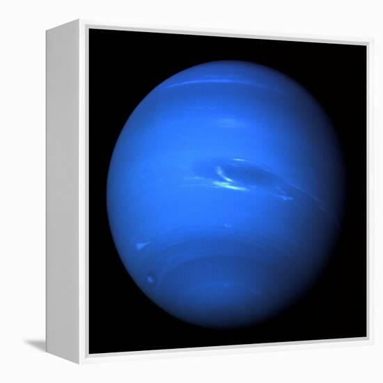 Neptune, Voyager 2 Image-null-Framed Premier Image Canvas