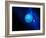 Neptune-Detlev Van Ravenswaay-Framed Photographic Print