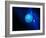 Neptune-Detlev Van Ravenswaay-Framed Photographic Print