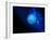 Neptune-Detlev Van Ravenswaay-Framed Photographic Print
