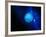 Neptune-Detlev Van Ravenswaay-Framed Photographic Print