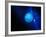 Neptune-Detlev Van Ravenswaay-Framed Photographic Print