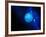 Neptune-Detlev Van Ravenswaay-Framed Photographic Print