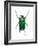 Neptunides Flower Beetle-Lawrence Lawry-Framed Photographic Print