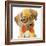 Nerd Pup Square-Lanie Loreth-Framed Art Print