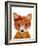 Nerdy Fox-Julie DeRice-Framed Art Print