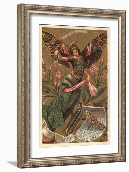 Nerium Oleander Perfume Advertisement-null-Framed Giclee Print