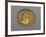 Nero Aureus Bearing Image of Emperor, Minted by Mint of Rome, Ad 64-65, Recto, Roman Coins AD-null-Framed Giclee Print