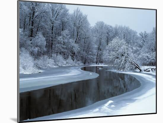 Nerussa River Beginning to Freeze, Bryansky Les Zapovednik, Russia-Igor Shpilenok-Mounted Photographic Print