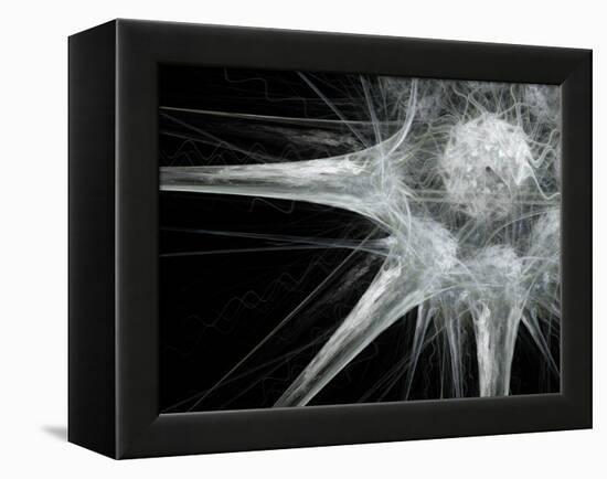Nerve Cell, Abstract Artwork-Laguna Design-Framed Premier Image Canvas