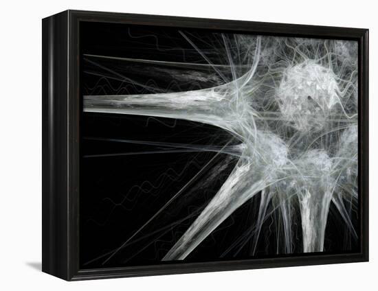 Nerve Cell, Abstract Artwork-Laguna Design-Framed Premier Image Canvas