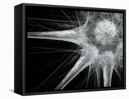 Nerve Cell, Abstract Artwork-Laguna Design-Framed Premier Image Canvas