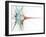 Nerve Cell, Abstract Artwork-Laguna Design-Framed Photographic Print