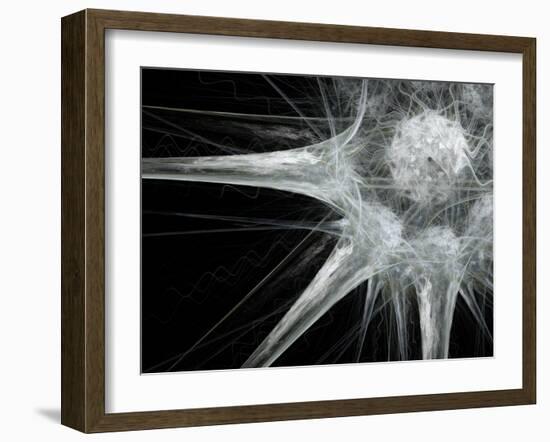 Nerve Cell, Abstract Artwork-Laguna Design-Framed Photographic Print