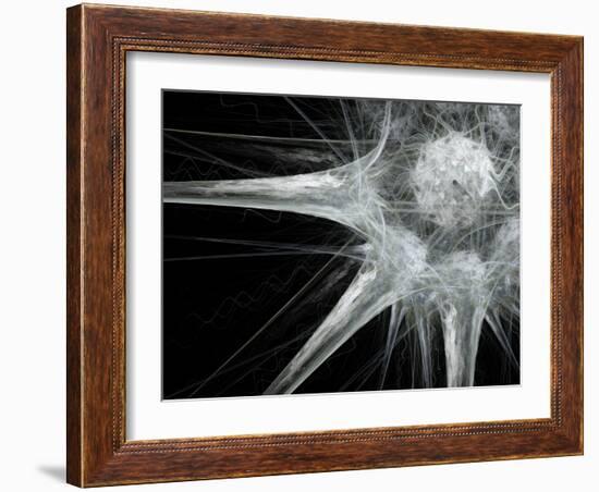 Nerve Cell, Abstract Artwork-Laguna Design-Framed Photographic Print