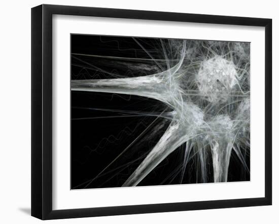 Nerve Cell, Abstract Artwork-Laguna Design-Framed Photographic Print
