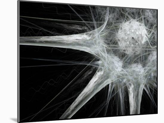 Nerve Cell, Abstract Artwork-Laguna Design-Mounted Photographic Print