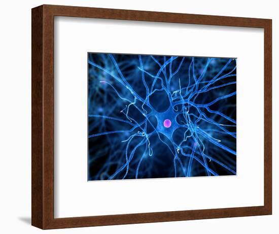 Nerve Cell, Artwork-SCIEPRO-Framed Premium Photographic Print