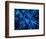 Nerve Cell, Artwork-SCIEPRO-Framed Premium Photographic Print