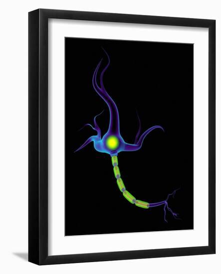 Nerve Cell, Artwork-Mehau Kulyk-Framed Photographic Print