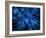 Nerve Cell, Artwork-SCIEPRO-Framed Photographic Print