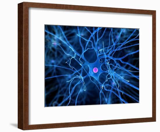 Nerve Cell, Artwork-SCIEPRO-Framed Photographic Print