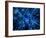 Nerve Cell, Artwork-SCIEPRO-Framed Photographic Print