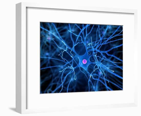 Nerve Cell, Artwork-SCIEPRO-Framed Photographic Print