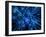 Nerve Cell, Artwork-SCIEPRO-Framed Photographic Print