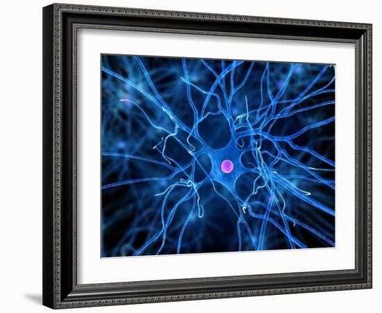 Nerve Cell, Artwork-SCIEPRO-Framed Photographic Print