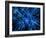 Nerve Cell, Artwork-SCIEPRO-Framed Photographic Print