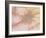 Nerve Cell Culture, SEM-Science Photo Library-Framed Photographic Print
