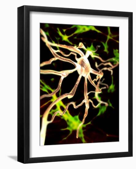 Nerve Cell-PASIEKA-Framed Photographic Print