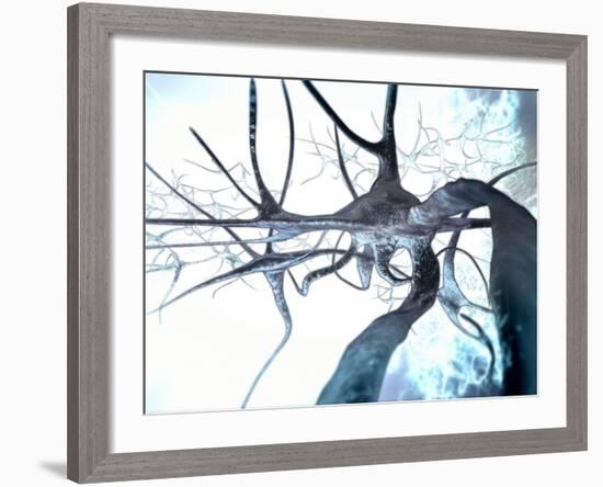 Nerve Cells, Computer Artwork-null-Framed Photographic Print