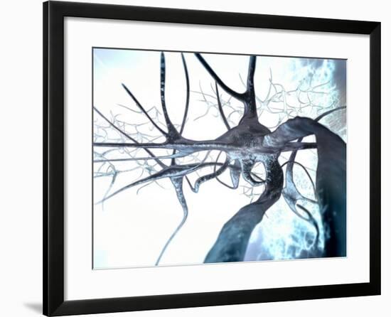 Nerve Cells, Computer Artwork-null-Framed Photographic Print