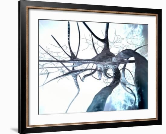 Nerve Cells, Computer Artwork-null-Framed Photographic Print