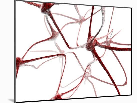 Nerve Cells-Christian Darkin-Mounted Photographic Print