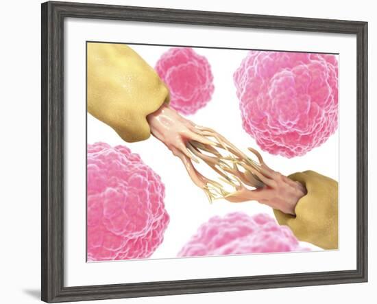 Nerve Damage And Stem Cells, Artwork-David Mack-Framed Photographic Print