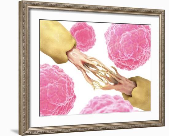 Nerve Damage And Stem Cells, Artwork-David Mack-Framed Photographic Print