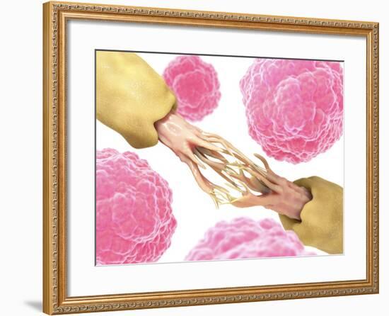 Nerve Damage And Stem Cells, Artwork-David Mack-Framed Photographic Print