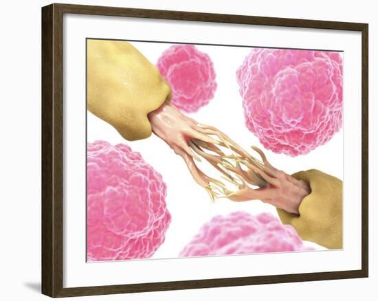 Nerve Damage And Stem Cells, Artwork-David Mack-Framed Photographic Print