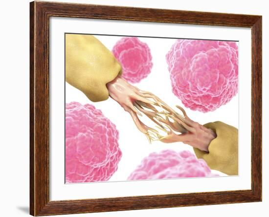 Nerve Damage And Stem Cells, Artwork-David Mack-Framed Photographic Print