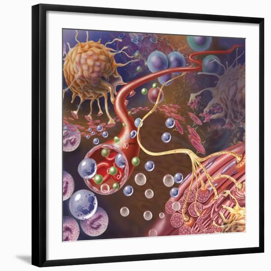 Art Print, , large