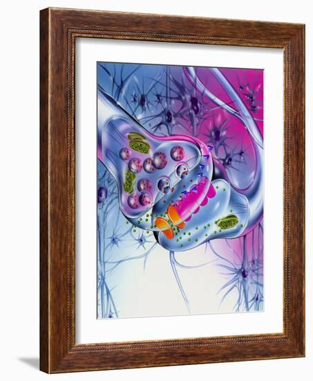 Nerve Synapse-John Bavosi-Framed Photographic Print