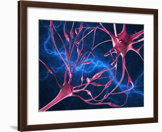 Nerve Synapses, Artwork-Laguna Design-Framed Photographic Print