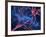 Nerve Synapses, Artwork-Laguna Design-Framed Photographic Print