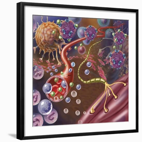 Art Print, , large
