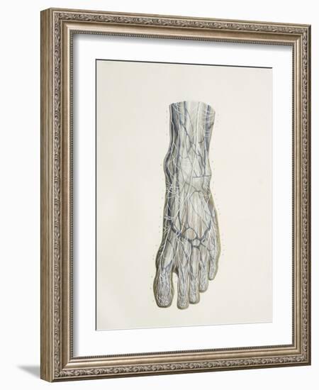 Nerves of the Foot, 1844 Artwork-Science Photo Library-Framed Photographic Print